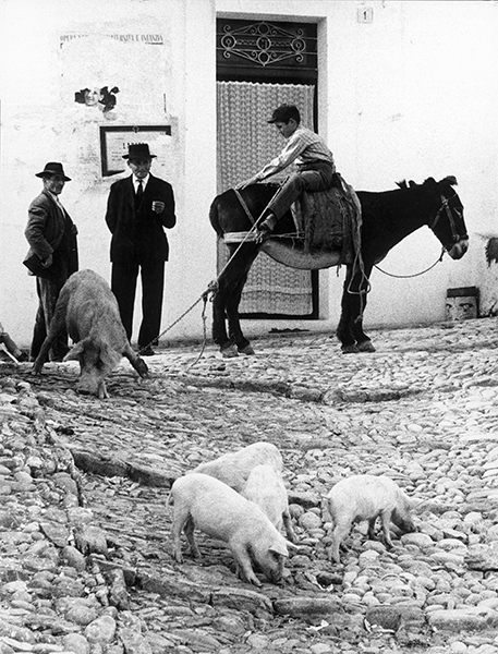 Puglia, 1958