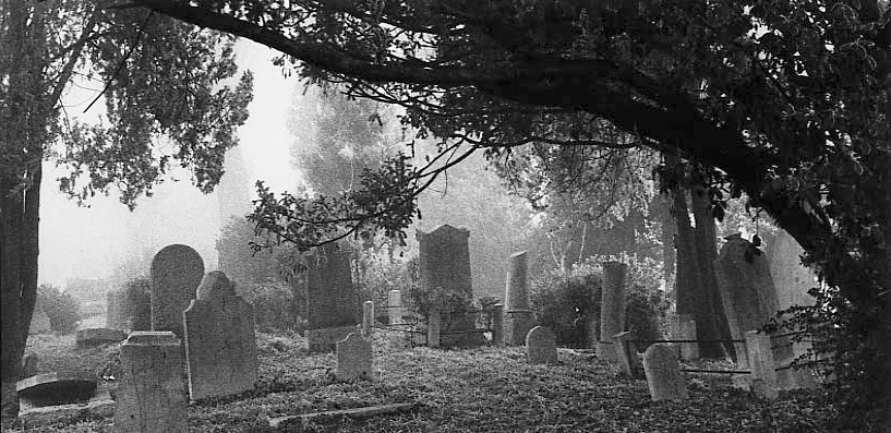 Venice. Israelitic graveyard, 1963