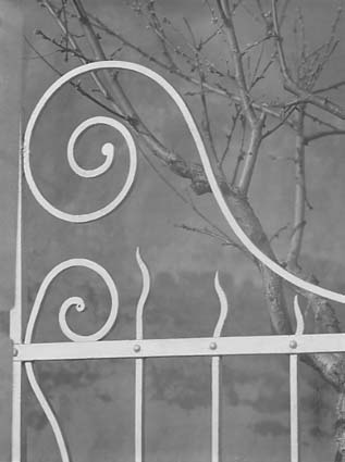White gate, 1950