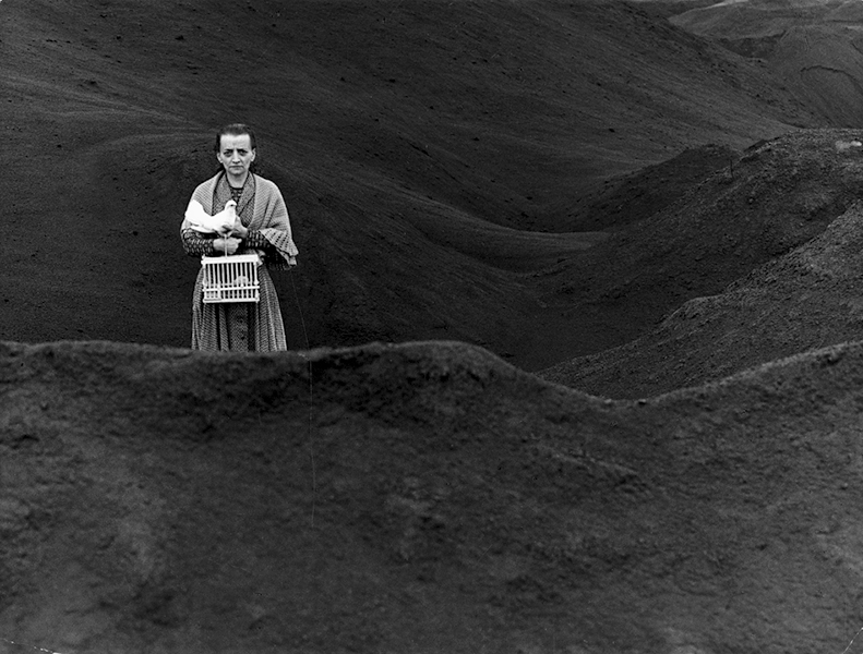 In Margherita's Kingdom, 1967
