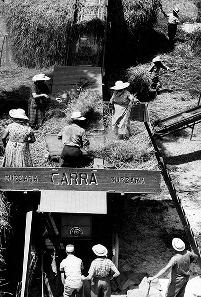 The threshing, 1959