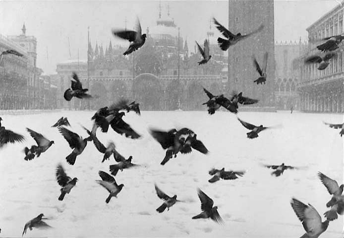 Gianni Berengo Gardin, Venice. San Marco Square, 1960