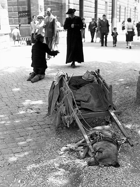 Rome. Beggar, 1953