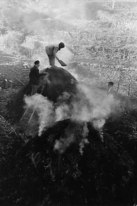 Passopisciaro. Coal pickers, 1963